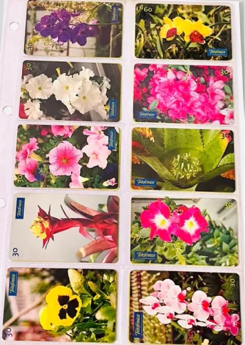 Kit Com 40 Cartões Telefônicos Flores e Frutas 