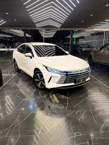 BYD King 2025 GS 1.5 16V AUT. (HIBRIDO)