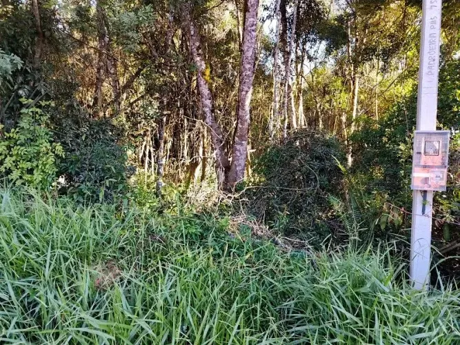 Chacara Caminho do Vinho, Colônia Murici - São José dos Pinhais - PR