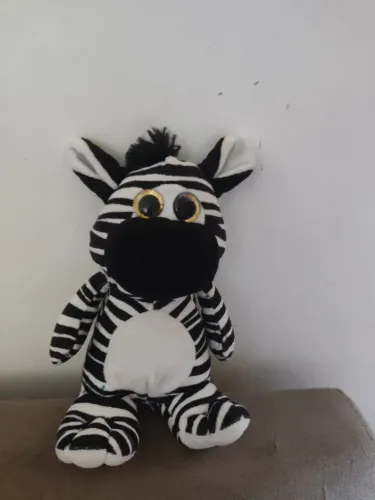 Zebra Madagascar 