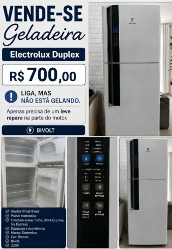 Geladeira precisa de motor novo.