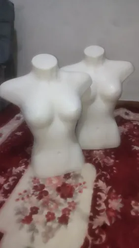 Bustos femininos