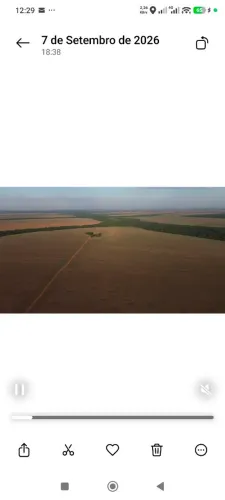 Fazenda de Arrendamento Soja 1.600 hec são José do Xingú MT.