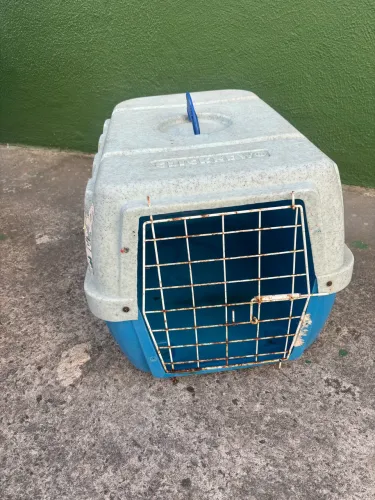 Caixa de Transporte de animais (tam: Grande)