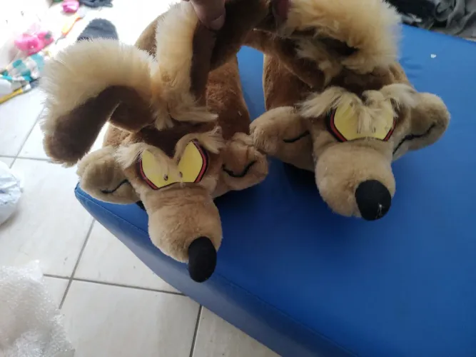PANTUFAS DO COIOTE
