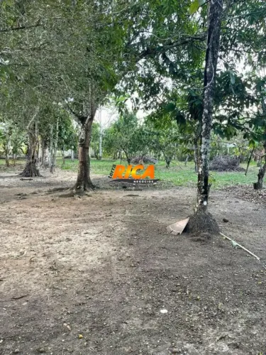 Chácara à venda na Estrada do Areia Branca - PORTO VELHO/RO