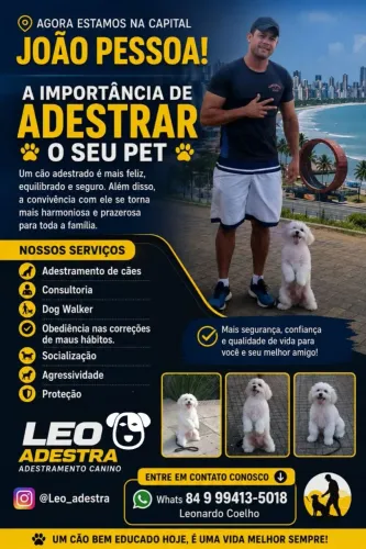 Adestramento de Cães