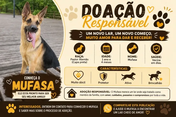 Doação Pastor alemão