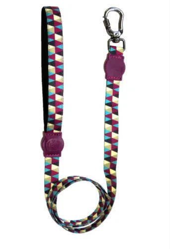 Guia Geometric Cães e Gatos São Pet P