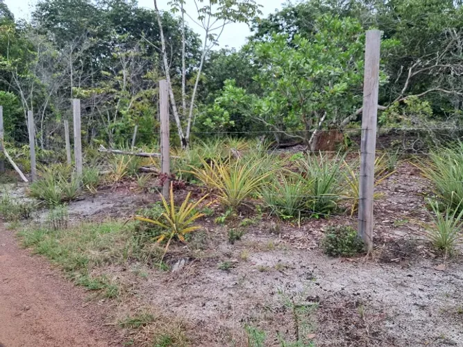 Vendo Terreno ,medindo 35m x 600m /Localizado no KM 19 da Estrada de Novo Airão.