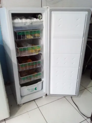 Vendo um Frizer semi novo