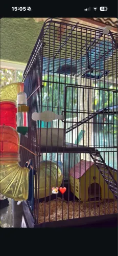 Gaiola de hamster 