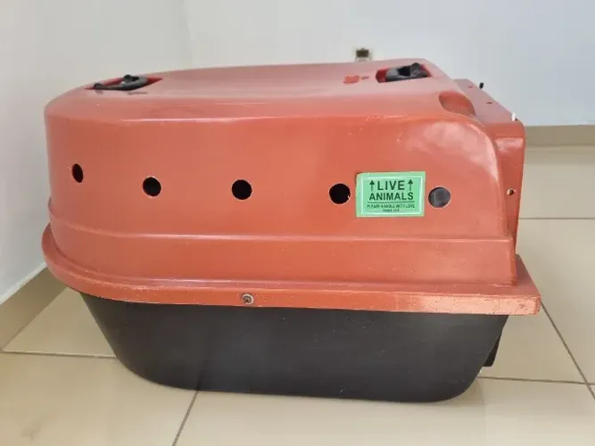 Caixa de transporte pet