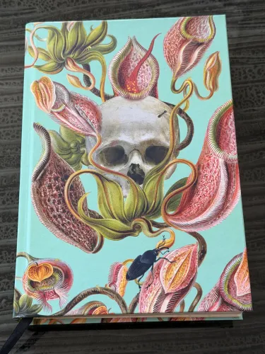 Livro O Mundo Invisível Entre Nós de Caitlin R. Kiernan Capa dura