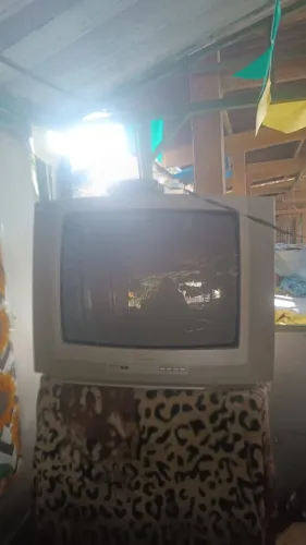 Televisão