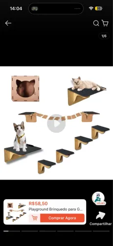 Playground gatos