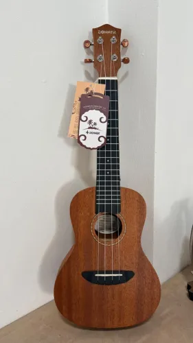 UKULELE CONCERT