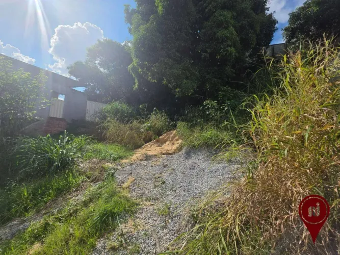 Terreno à venda, 290 m² por R$ 360.000,00 - Palmeiras - Belo Horizonte/MG
