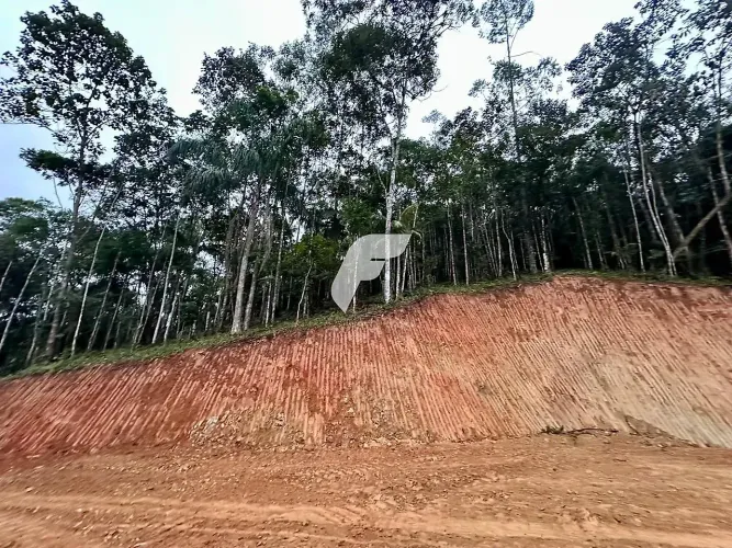 Terreno rural com 30.142,92m² em Massaranduba/SC