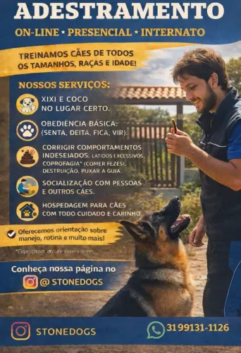 Adestramento para cães 