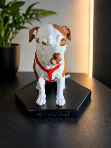 Miniatura Pet