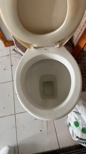 Vaso sanitário Celite