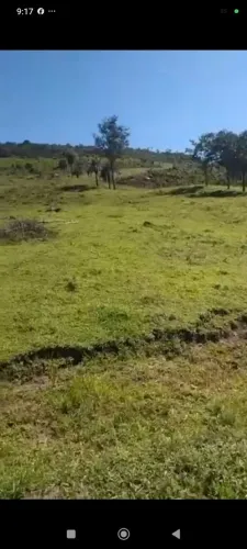 Chácara de 2.65 alqueirão em Mossâmedes Goiás. 920.000