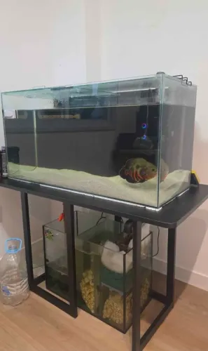 Vendo Aquario 200l com sump completo.