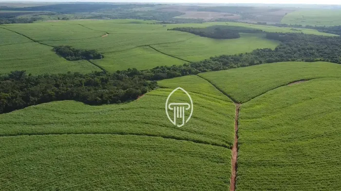 Fazenda à venda, 147,25 Alqueires m² por R$ 28.000.000 - Zona Rural - Porecatu/PR