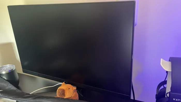 Monitor LG Ultragear 24 144hz
