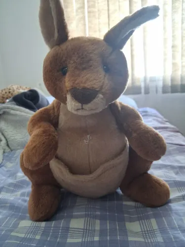 Pelucia