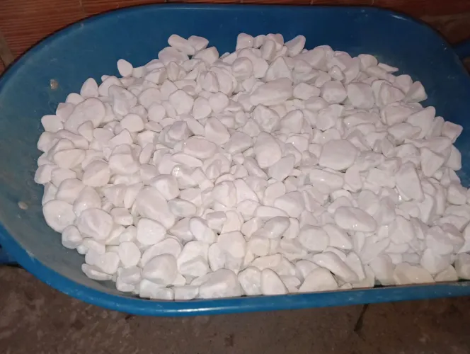 Pedra decorativa dolomita seixo branco