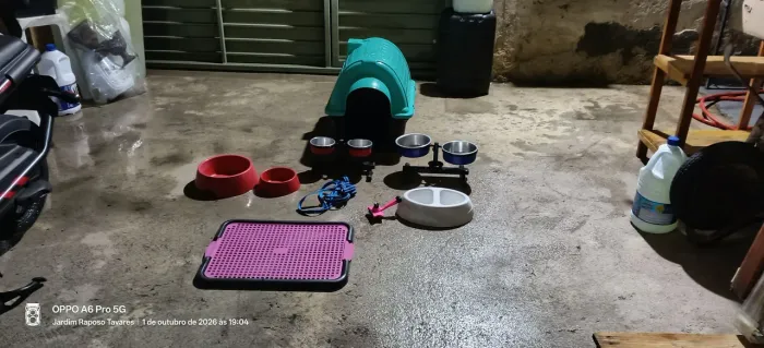 Tudo para cachorro