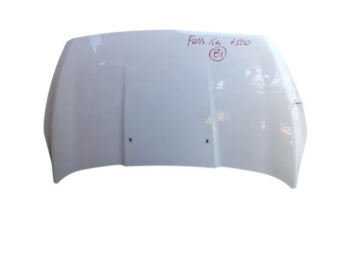 Capo do Ford Ka 