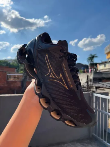 Mizuno prophecy 12 