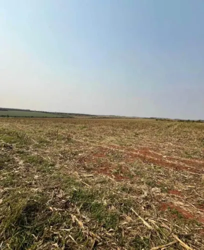 Fazenda de arrendamento pra Soja 500 hec em Amambai, MS.