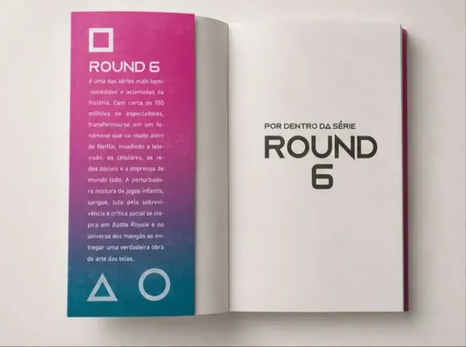 LIVRO ROUND 6 POR DENTRO DA SÉRIE. SEMI NOVO