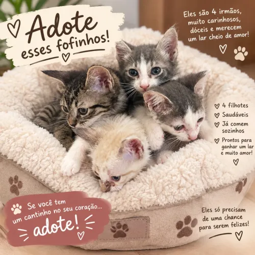 gatinhos fofos para adoção