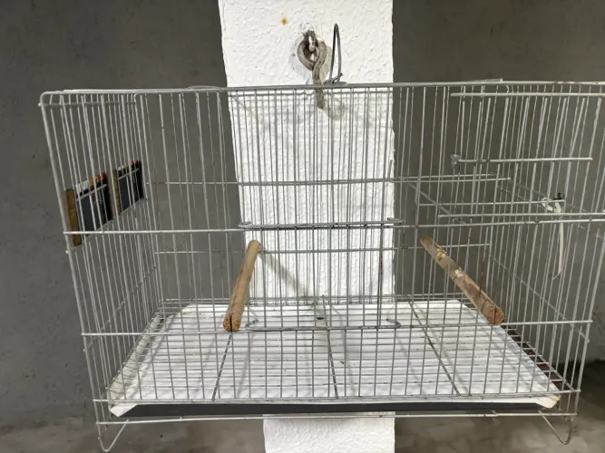 Gaiolas para passaros