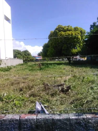 Três Terrenos na Praia de Jacumã, Conde-PB
