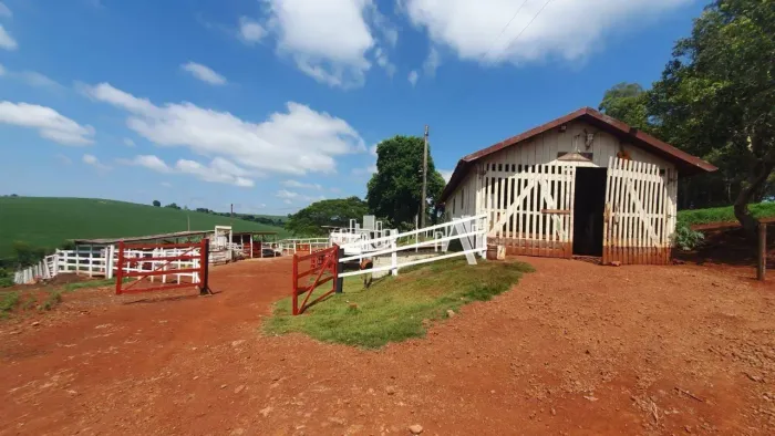 Fazenda à venda, 363000 m² por R$ 16.000.000,00 - Bratislava - Cambé/PR
