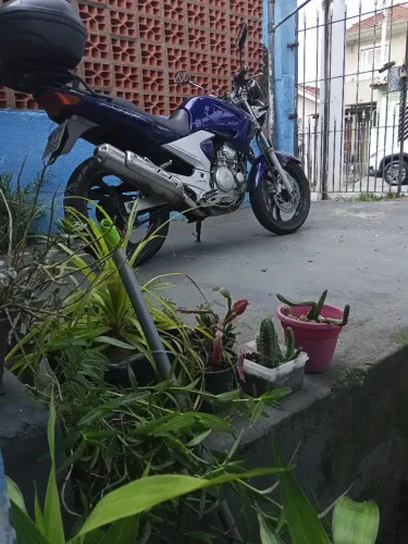 Vendo Fazer 2008