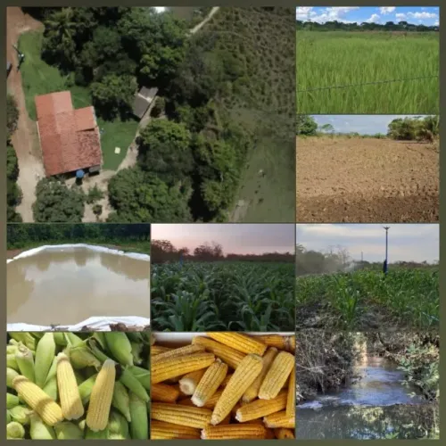 Vende-se chácara 22 hectares no Município de Formosa-GO.