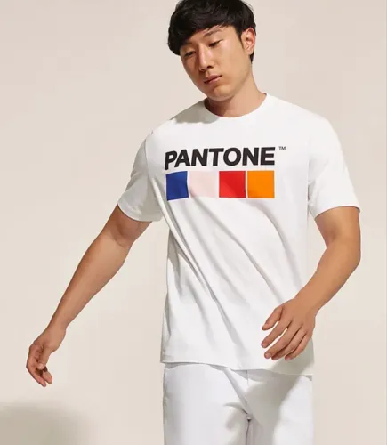camiseta pantone cea branca gg