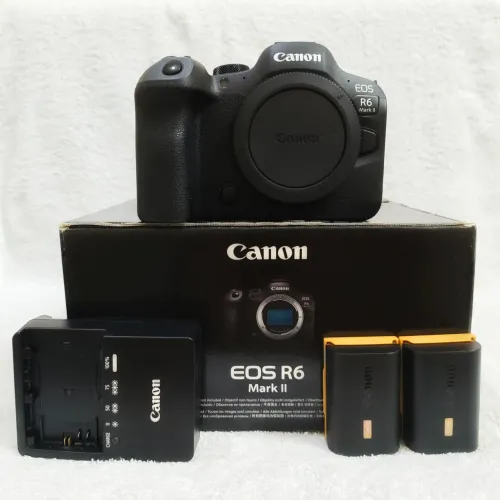 Canon R6 Mark II + RF 35mm F1.8
