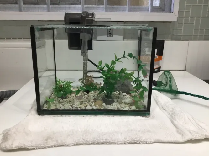 Aquário 7litros com todos os acessórios
