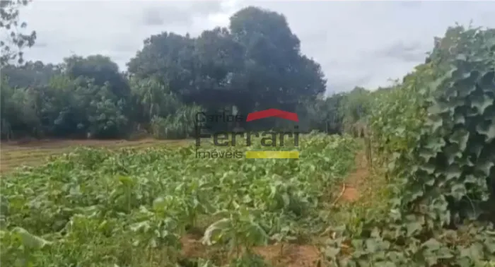 Terreno Plano à Venda em Franco da Rocha