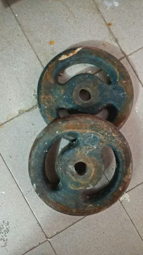 Anilhas 10 kg