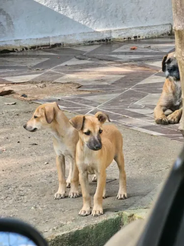 Doação