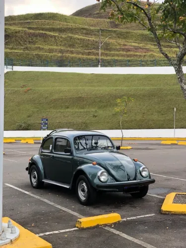 Volkswagen Fusca Fusca (gasolina) 1994